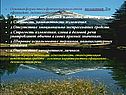 Основная форма этого функционального стиля – письменная