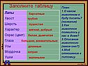 Заполните таблицу