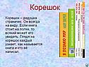 Корешок