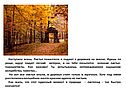 Наступила осень