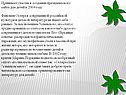 Принимал участие в создании президентского сайта для детей в 2004 году