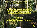 Островский Кострома
