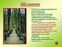 Щелыково