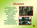 Щелыково