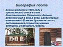 «Песнь о собаке» Есенин