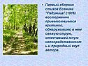 Первый сборник стихов Есенина "Радуница" (1916) восторженно