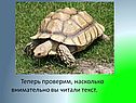 Теперь проверим, насколько внимательно вы читали текст