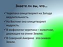 Черепаха олицетворяет на Западе медлительность