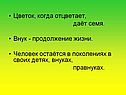 Цветок, когда отцветает, даёт семя