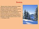 Художник