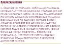 Домовитая хозяйка