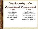Документальный очерк