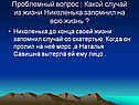 Проблемный вопрос : Какой случай из жизни Николенька запомнил на всю