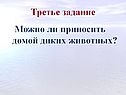 Можно ли приносить домой диких животных