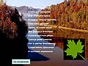 Поспевает брусника, стали дни холоднее