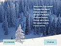 Темный лес – что шапкой принакрылся чудной