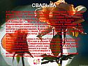Свадьба