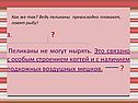 Пеликаны не могут нырять