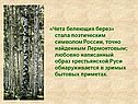Чета белеющих берез