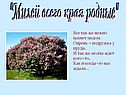 "Милей всего края родные"