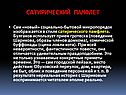 Сатирический памфлет