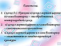 Гипотезы