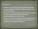 Выводы