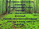 Кто взманил меня на путь знакомый, Усмехнулся мне в окно тюрьмы