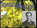 Поэтические воспарения А.Белого