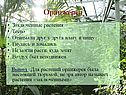 Оранжерея
