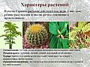 Характеры растений
