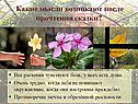 Сказка Attalea Princeps