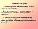Бродячие сюжеты