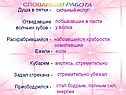 Словарная работа