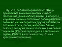Птицы