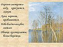 Деревья смотрят в воду, красуются, живут