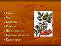 Сочинение о листьях