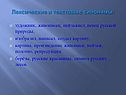 Лексические и текстовые синонимы