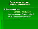 Бело-рыжий пес