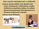 Как кошка поссорилась с собакой