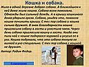Кошка и собака