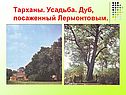 Тарханы