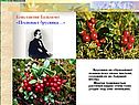 Константин Бальмонт