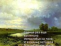 Поля
