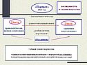 Законченные новеллы