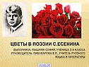 Цветы у Есенина
