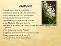 Ландыш