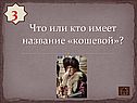 Что или кто имеет название «кошевой»