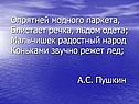 Опрятней модного паркета, Блистает речка, льдом одета; Мальчишек