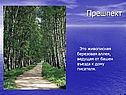 Прешпект